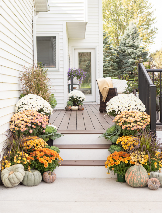 fall porch with orange and white mums grasses, and pumpkins on stairs